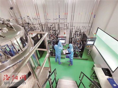 洛陽惠中生物技術 以高端疫苗研發護航現代畜牧業發展